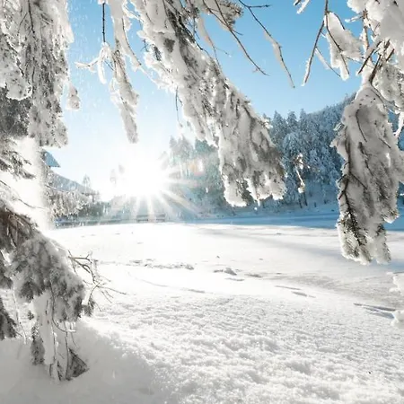 Stilvolle *rebland* Balkon-netflix-parking *