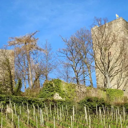 Stilvolle *rebland* Balkon-netflix-parking Appartement *