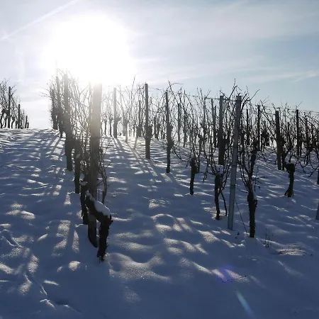 Stilvolle *rebland* Balkon-netflix-parking Apartamento Baden-Baden