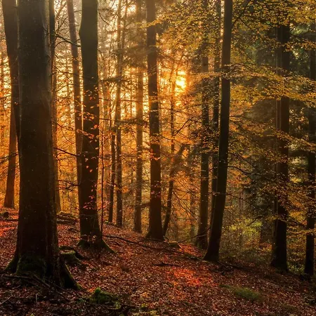 Stilvolle *rebland* Balkon-netflix-parking