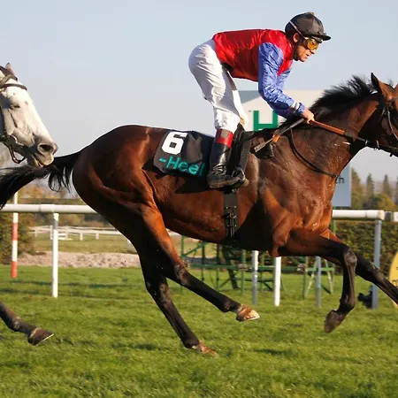 Stilvolle *rebland* Balkon-netflix-parking Baden-Baden