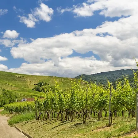 Stilvolle *rebland* Balkon-netflix-parking * Baden-Baden
