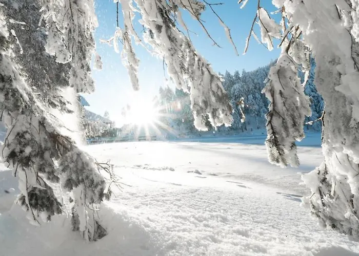 Stilvolle *rebland* Balkon-netflix-parking *