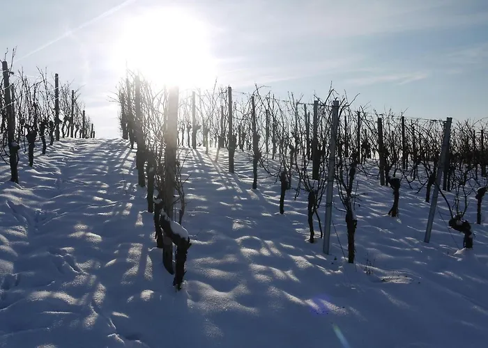 Stilvolle *rebland* Balkon-netflix-parking Lejlighed Baden-Baden