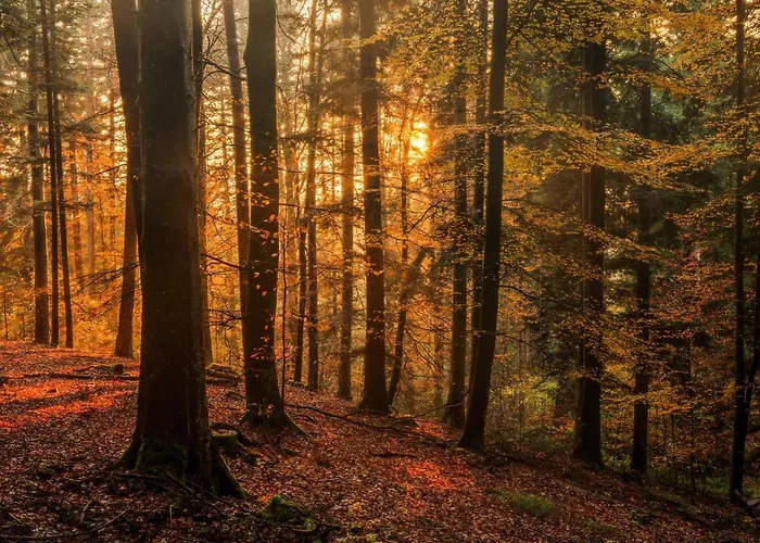 Stilvolle *rebland* Balkon-netflix-parking