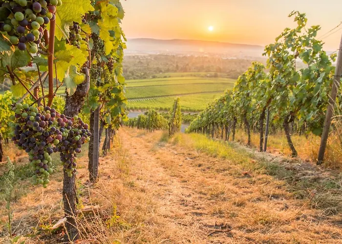 Stilvolle *rebland* Balkon-netflix-parking Lejlighed *