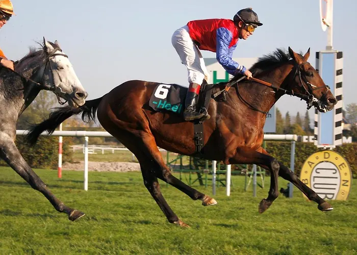 Stilvolle *rebland* Balkon-netflix-parking Baden-Baden