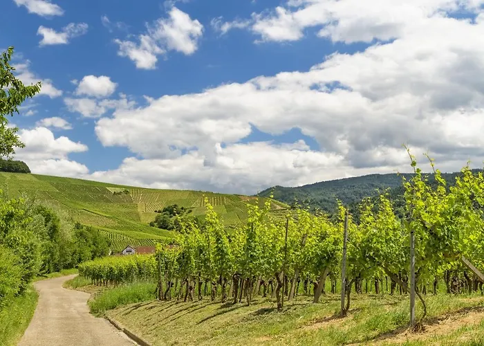 Stilvolle *rebland* Balkon-netflix-parking * Baden-Baden